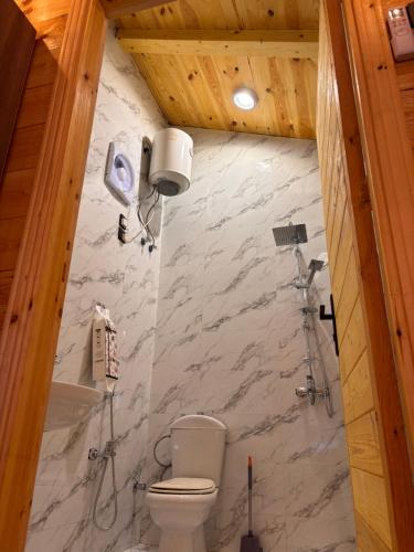 a bathroom with a toilet and a shower at كوخ الجنة in Abha