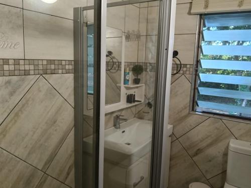 a bathroom with a toilet and a sink and a shower at Ocean House in St Lucia