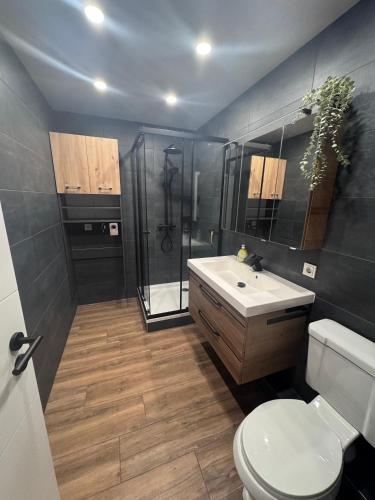 a bathroom with a shower and a toilet and a sink at Ruheoase Quickborn in Quickborn