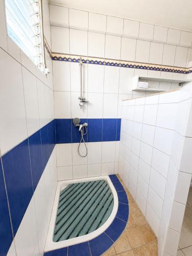 a bathroom with a shower with a green mat on the floor at La Mansarde in Le Robert