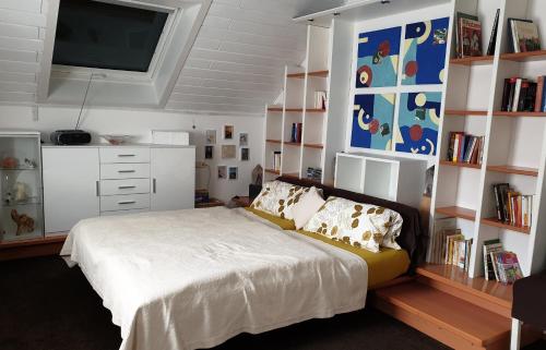 a bedroom with a bed and a tv and bookshelves at Ferienwohnung Irene in Bad Saulgau