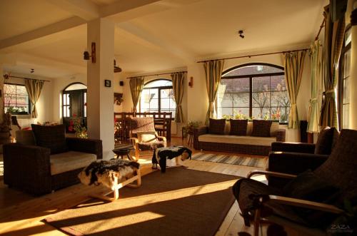 a living room with a dog standing in a room at Casa Mosului - Transfăgărășan Bed & Breakfast in Cîrţişoara