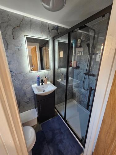 a bathroom with a shower and a toilet and a sink at Bright luxurious Home in Oxford