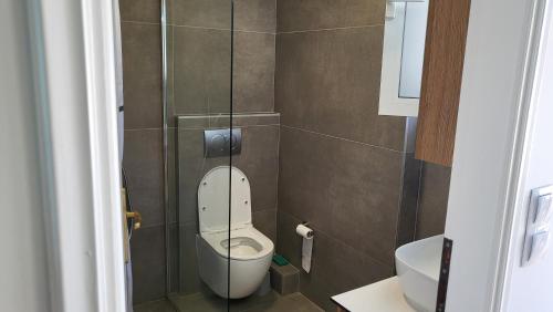 ein kleines Badezimmer mit einer Toilette in einer Kabine in der Unterkunft Horizon Corner in Ladochórion