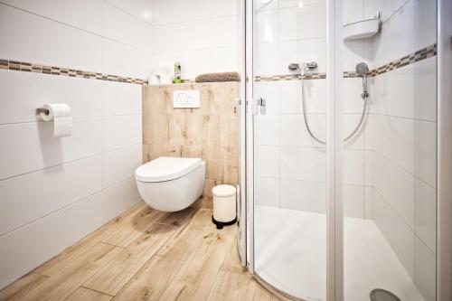 a bathroom with a toilet and a shower at U Jeřába - komplex C in Horní Věstonice