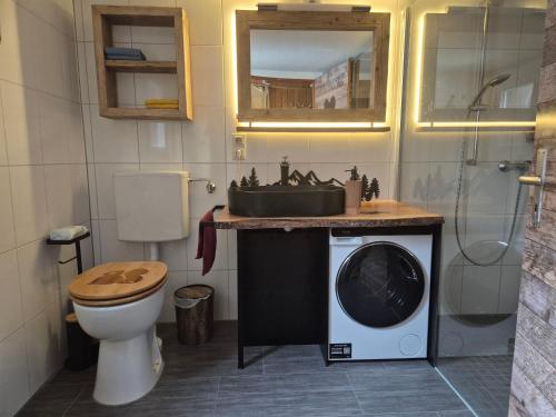 a bathroom with a washing machine and a toilet at Zum fröhlichen Eichhörnchen in Feldberg