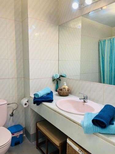 a bathroom with a sink and a toilet and a mirror at Apartamento de las Buganvillas in Vera