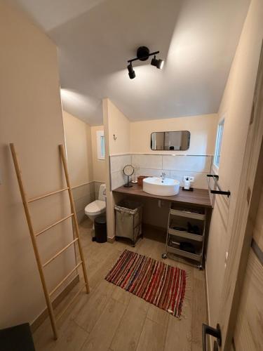 a bathroom with a sink and a toilet at Vasara Noānā in Plieņciems