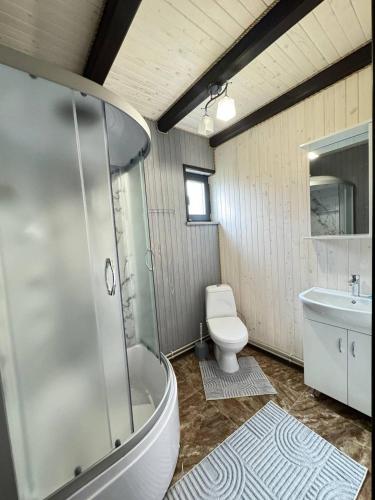a bathroom with a shower and a toilet and a sink at Котедж у Софійки in Synevyrsʼka Polyana