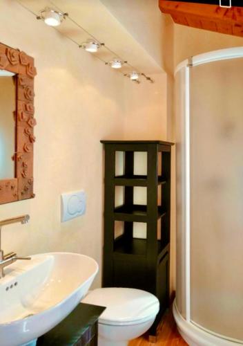 a bathroom with a sink and a toilet and a shower at Casa Bucaneve & Ciclamino in Gravedona