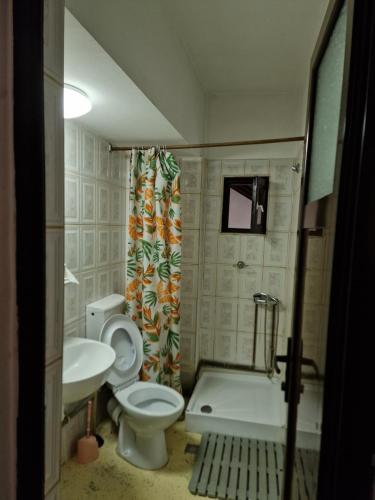 a small bathroom with a toilet and a sink at Riviera Valceana in Râmnicu Vâlcea