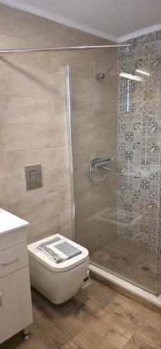 a bathroom with a shower and a toilet and a sink at Hotel Adonis in Mythimna