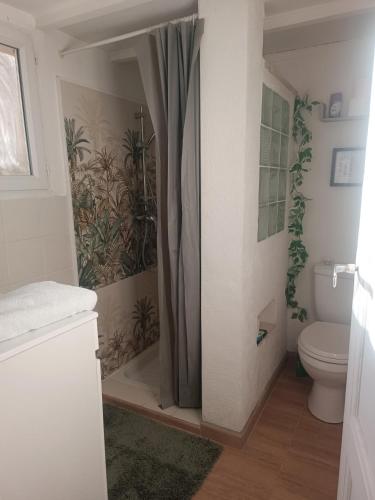 a bathroom with a toilet and a shower curtain at Chez Delph in Rognonas