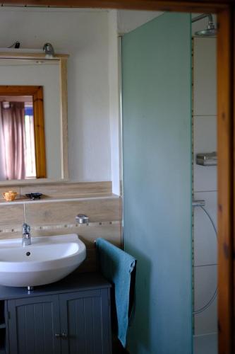 a bathroom with a sink and a mirror at Judies Garten in Schaalby