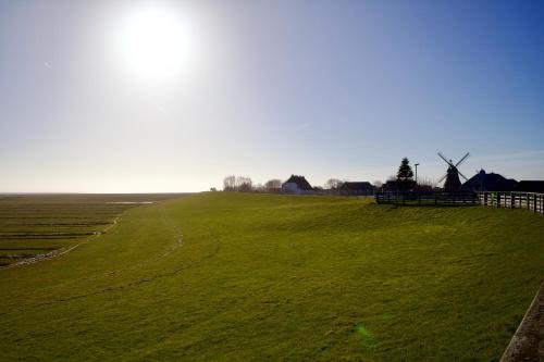 a green field with a fence and a windmill at Süderhafen 2c in Nordstrand