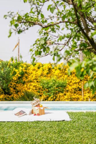 Casa da Lamela Pool & Garden