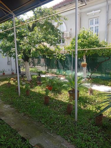 Gallery image of Casa in Craiova