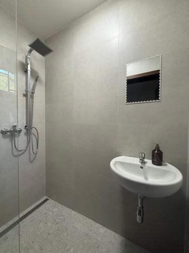 a bathroom with a sink and a shower at Hajkova Apartment in Jáma František