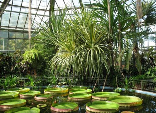 Le Blanc Cotroceni Hotel — Garden view