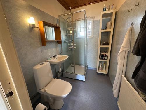 a bathroom with a toilet and a shower and a sink at Stor villa med jacuzzi in Herräng