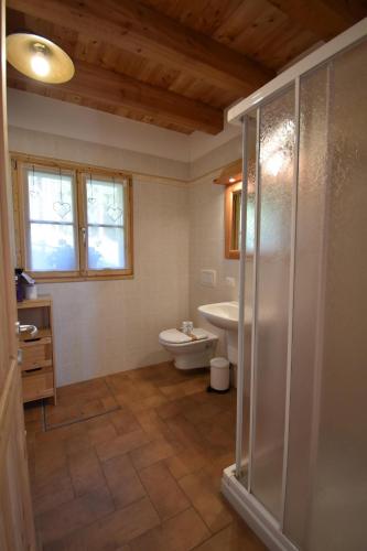 a bathroom with a shower and a toilet and a sink at Chalet Brenta Dolomites in Madonna di Campiglio