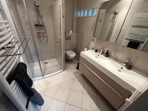 a bathroom with a shower and a sink and a toilet at De Buitenhof in Marknesse