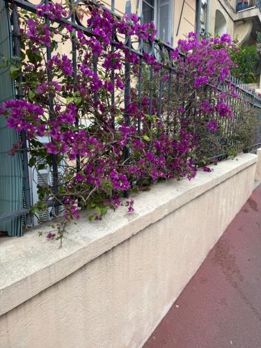 Quiet Private Apartment - 2min Train Station - 5min Palais Croisette - Private entrance photo 19