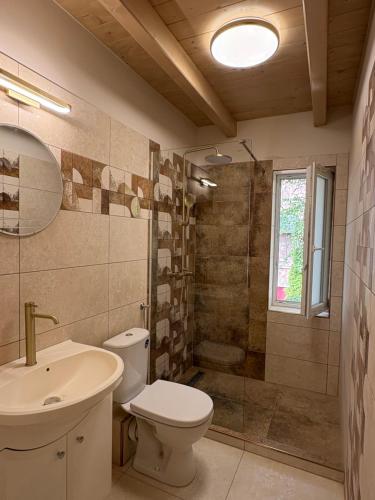 a bathroom with a toilet and a sink and a shower at Fűzfás Apartman in Siófok