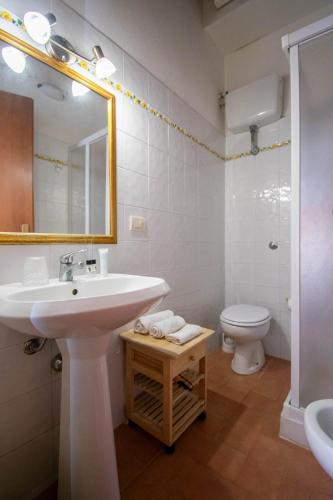 a bathroom with a sink and a toilet and a mirror at Residence La Casaccia in Venturina Terme
