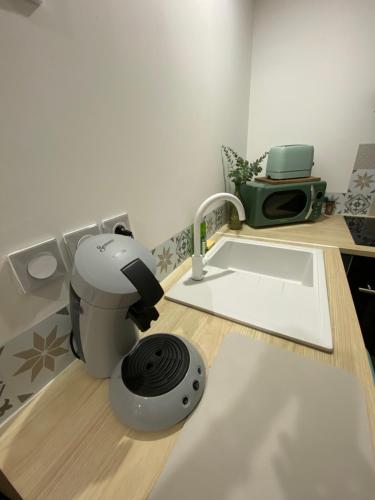 a kitchen with a sink and a mixer on a counter at Amelia in Saint-Aignan