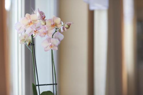 a vase filled with pink flowers in a window at Hotel Włókniarz in Pabianice