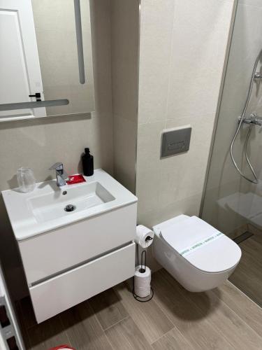 a bathroom with a white sink and a toilet at Aria & Boris Apart Kogalniceanu in Oradea