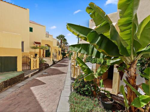 Fañabe Beach, Beaches at 400 m, 2 Terraces