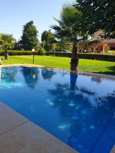 a blue swimming pool with a palm tree in the background at Casa Sofia in Meknès