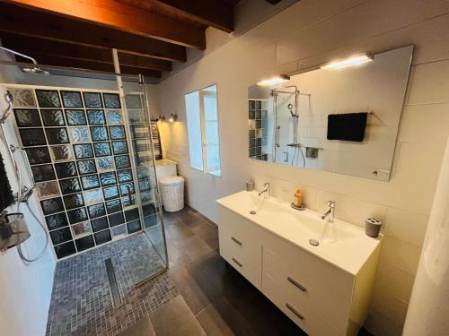 a bathroom with a sink and a shower and a mirror at Le Logis de la Soloire 3 étoiles in Nercillac