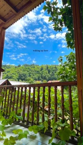 Gallery image of Vacation home Bagira in Oni