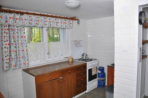 a small kitchen with a stove and a sink at Kaszuby Stężyca holiday cottage in Stężyca