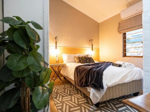 a bedroom with a bed and a potted plant at Fever Tree Self Catering in Hillcrest