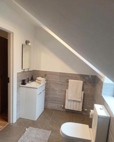 a bathroom with a white toilet and a sink at Radharc Sléibhe in Kilgarvan