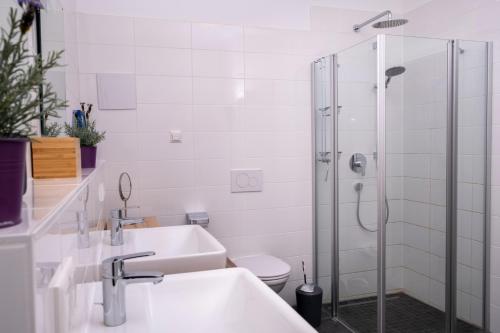 a bathroom with a shower and a sink and a toilet at Terrasse im Ammergau - Bad Kohlgrub in Bad Kohlgrub