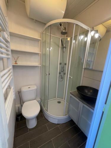 un bagno con doccia, WC e lavandino di Petit nid a Saint-Raphaël