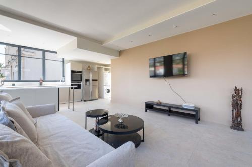 3-Br Top Floor with Rooftop Cannes