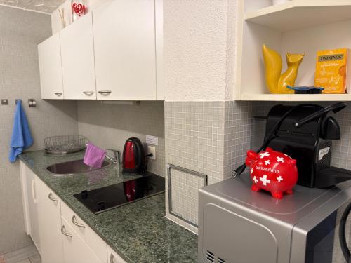 Großes Apartment für 12 mit Außenbereich in Zürich