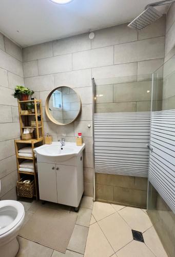 a bathroom with a toilet and a sink and a mirror at צימרים בצפון - אדם אדמה in Sheʼar Yashuv