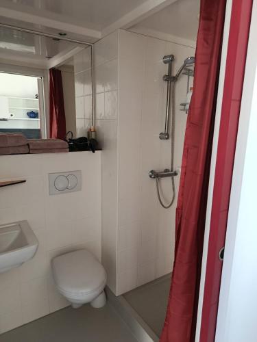 a bathroom with a toilet and a sink and a shower at Studio cosy entre terre et mer in Saint-Alban