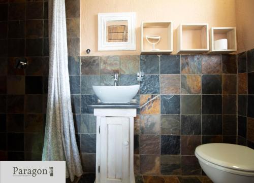 a bathroom with a sink and a toilet at Majolie, Private Pool, Look Out Tower in Marloth Park