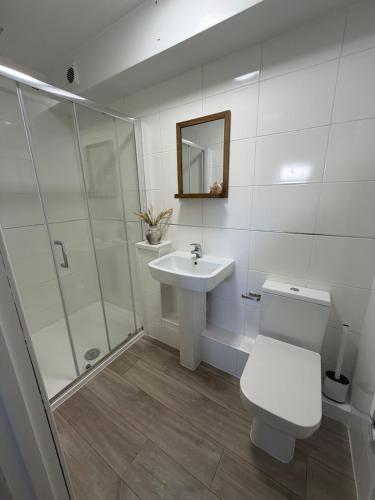 a bathroom with a toilet and a sink and a shower at One bedroom flat in Pevensey Bay in Pevensey