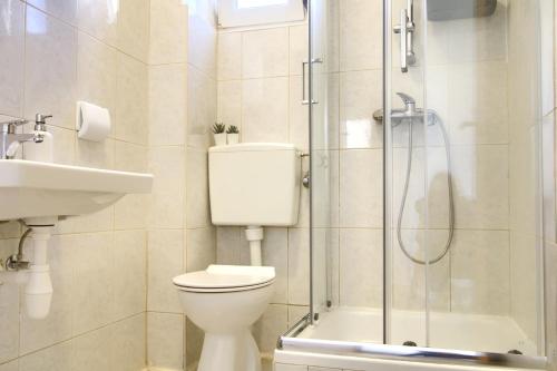 a bathroom with a toilet and a shower and a sink at Dana Apartments - Seafront Pašman in Pašman