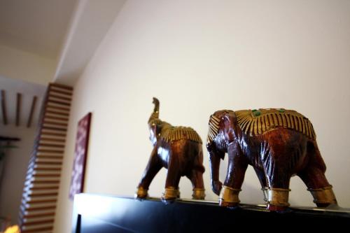 Animales en el bed and breakfast o alrededores