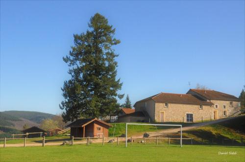a large tree in a field next to a house at Les Noës - Parc des chalets in Saint-Rirand